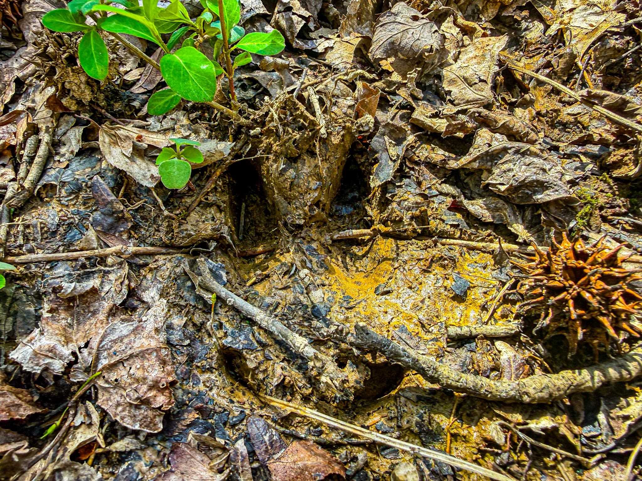 0 Hammlett Road Beech Bluff, TN 38313 - Photo 18 of 25 Exterior view