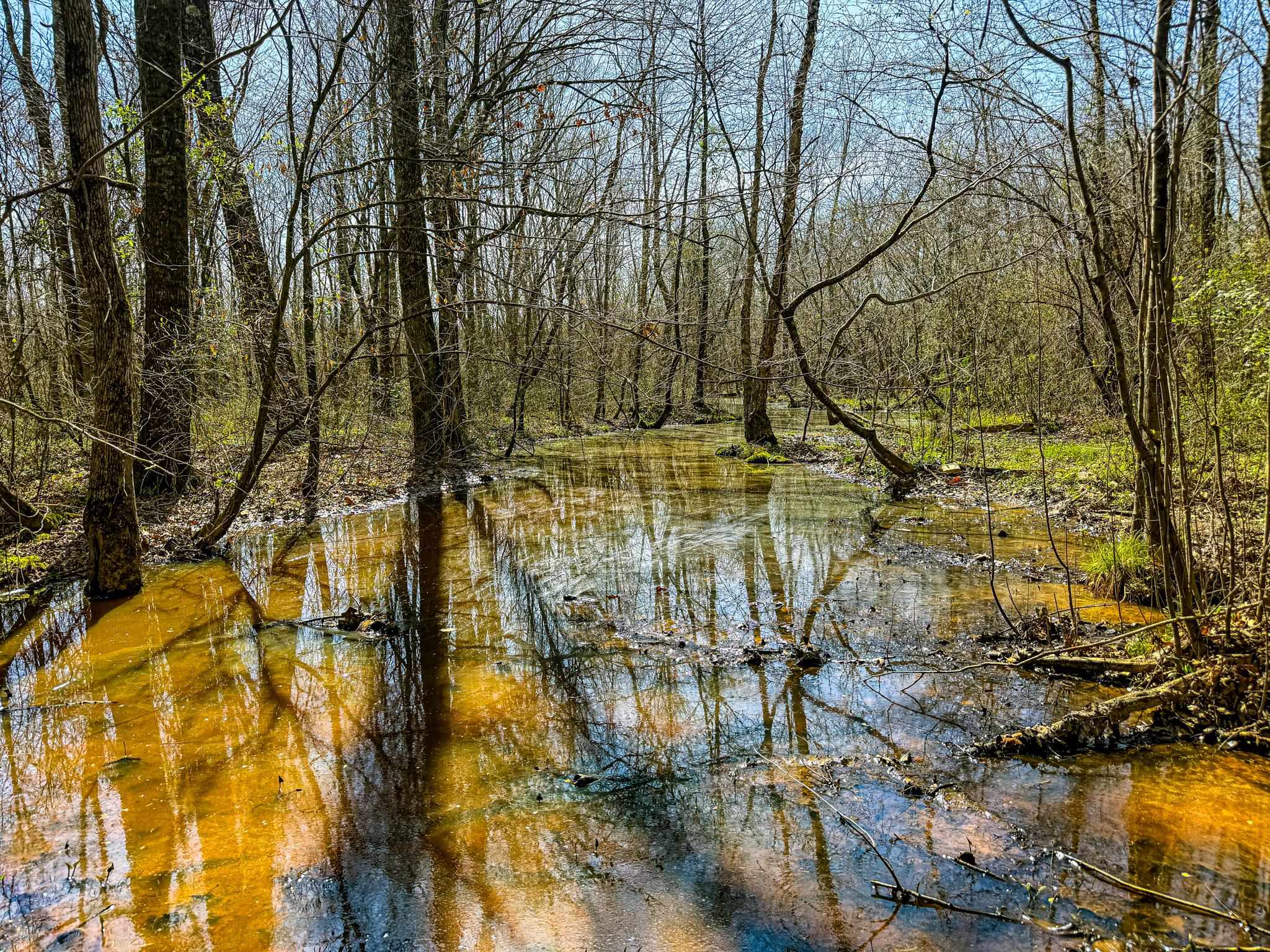 0 Hammlett Road Beech Bluff, TN 38313 - Photo 20 of 25 Water view