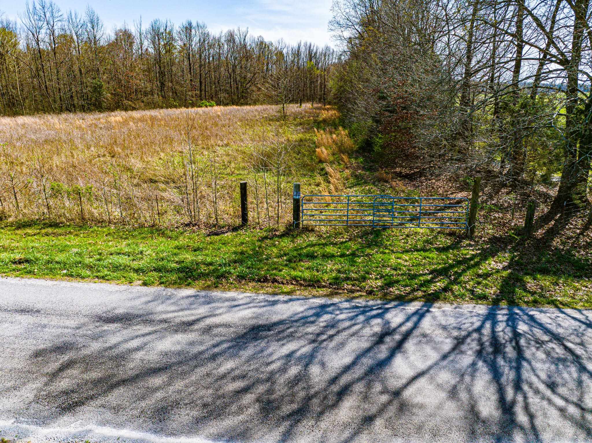 0 Hammlett Road Beech Bluff, TN 38313 - Photo 2 of 25 View of asphalt street