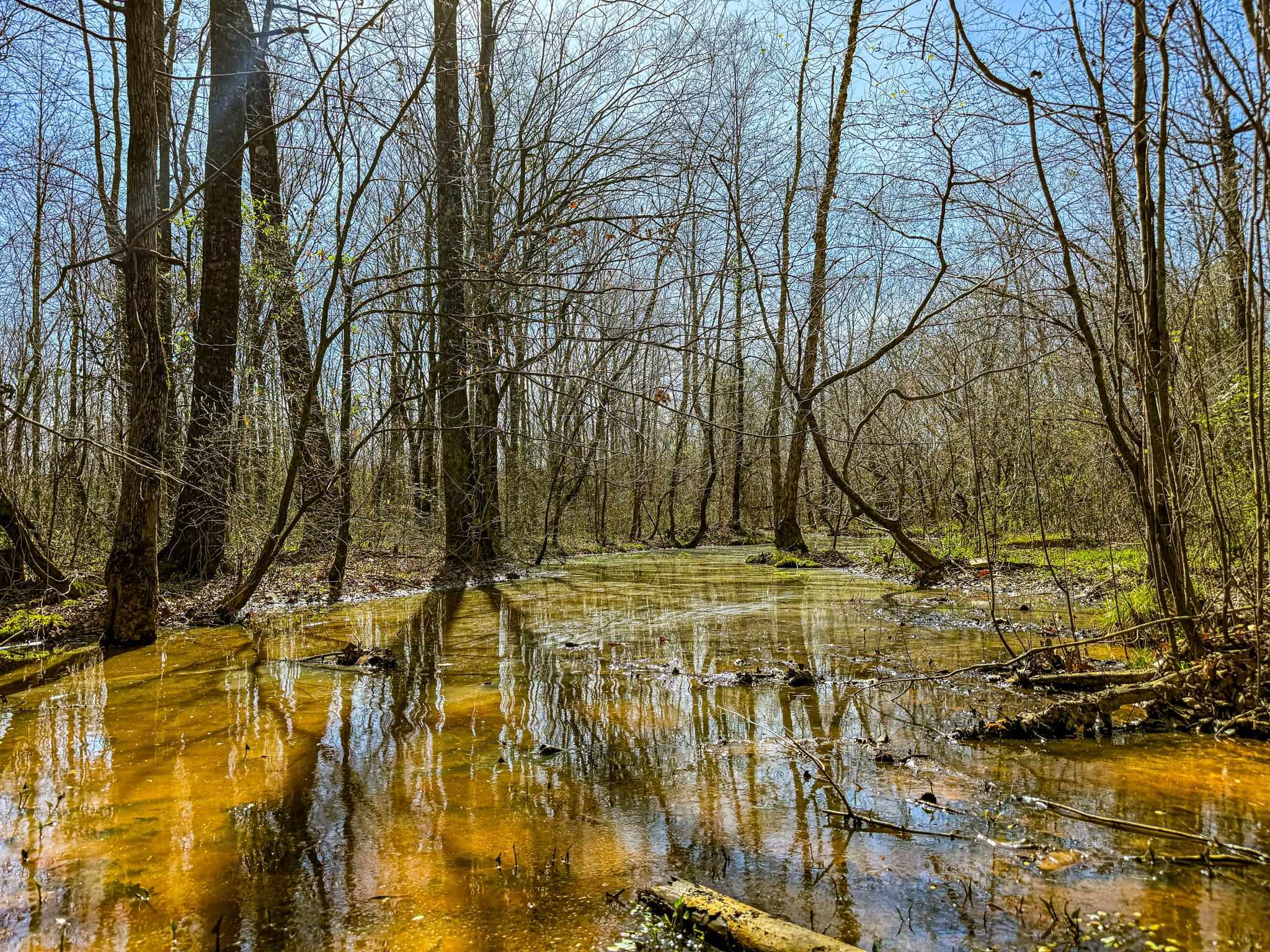 0 Hammlett Road Beech Bluff, TN 38313 - Photo 21 of 25 Water view