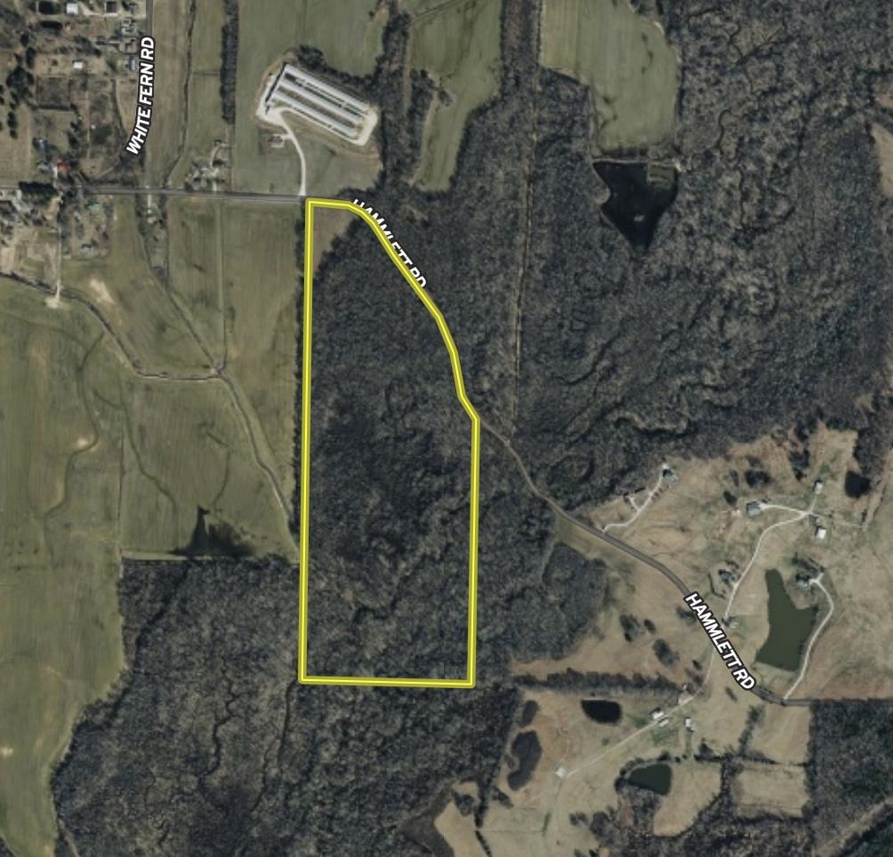 0 Hammlett Road Beech Bluff, TN 38313 - Photo 23 of 25 Map / location