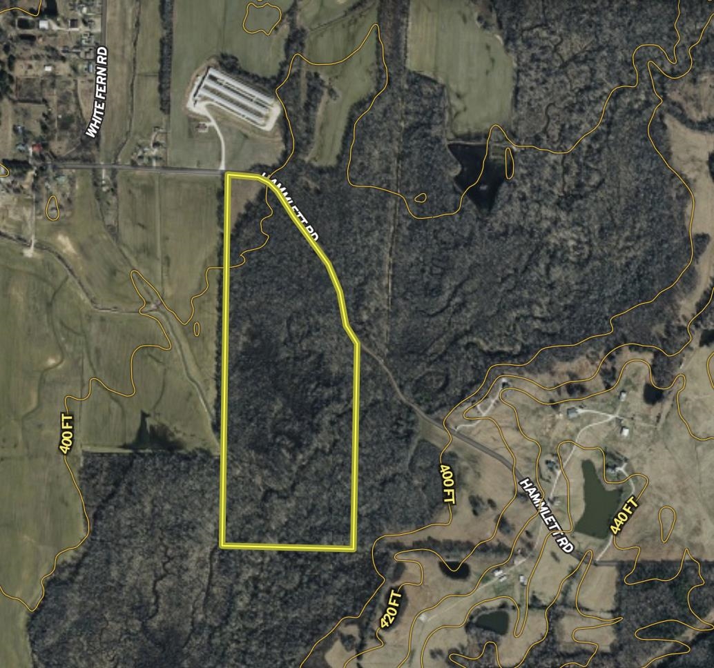 0 Hammlett Road Beech Bluff, TN 38313 - Photo 24 of 25 Aerial map of property and surrounding area