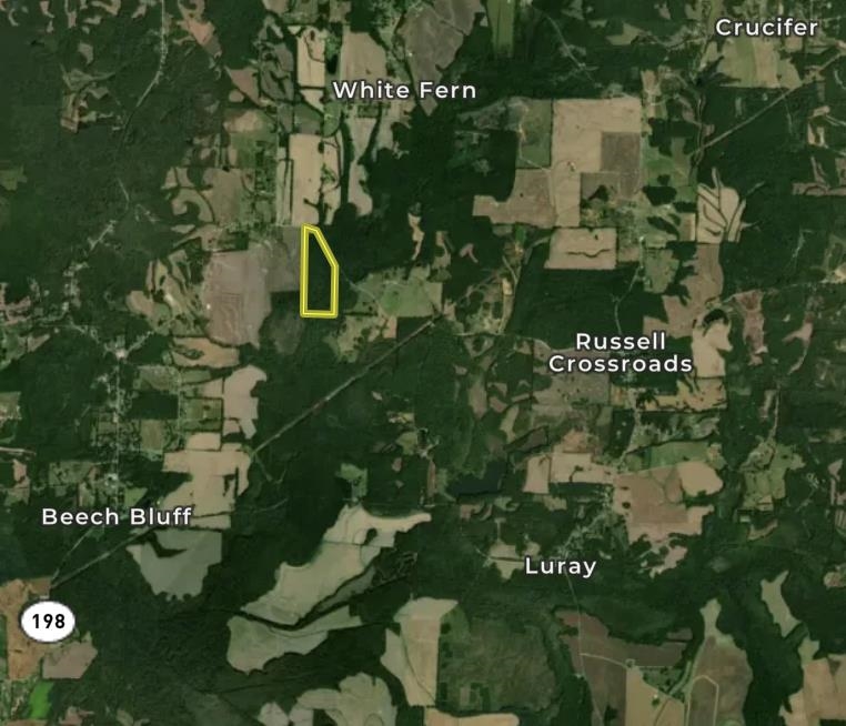 0 Hammlett Road Beech Bluff, TN 38313 - Photo 25 of 25 Aerial overview of property's location featuring property boundaries highlighted