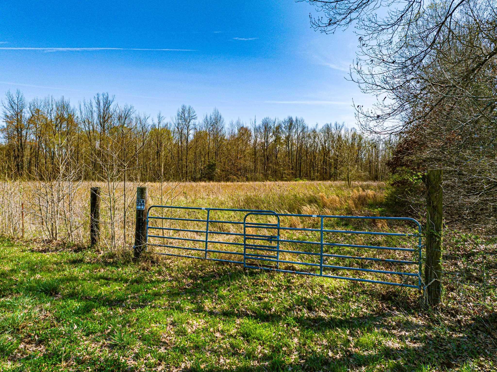 0 Hammlett Road Beech Bluff, TN 38313 - Photo 3 of 25 View of gate