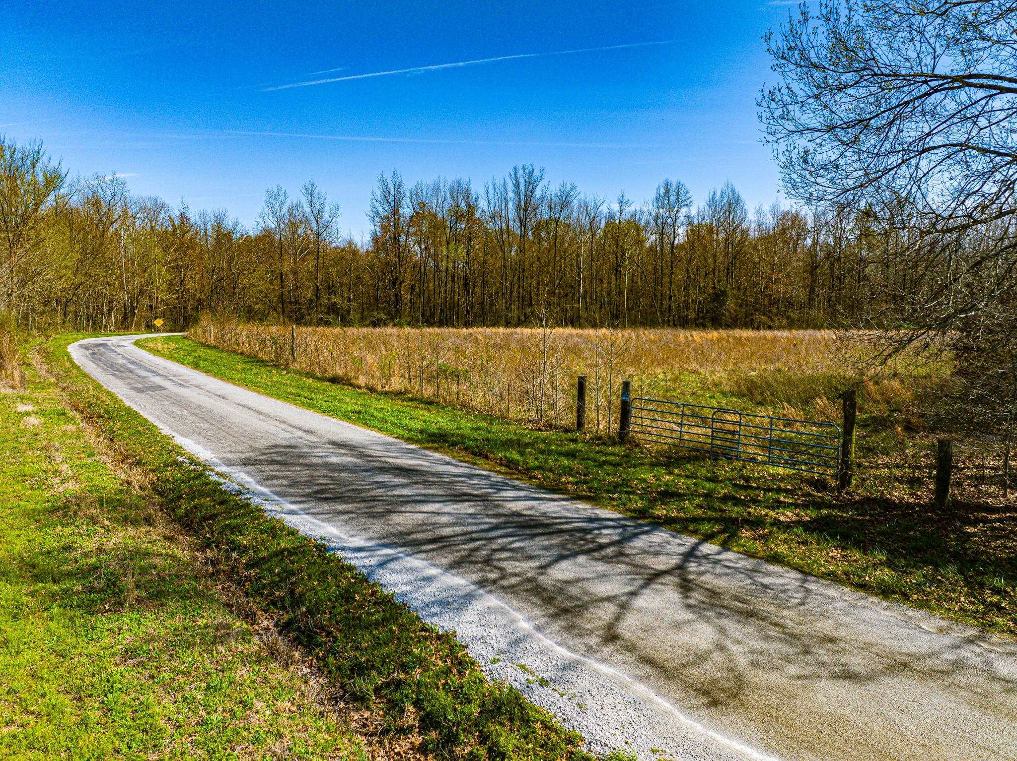 0 Hammlett Road Beech Bluff, TN 38313 - Photo 4 of 25 View of asphalt road