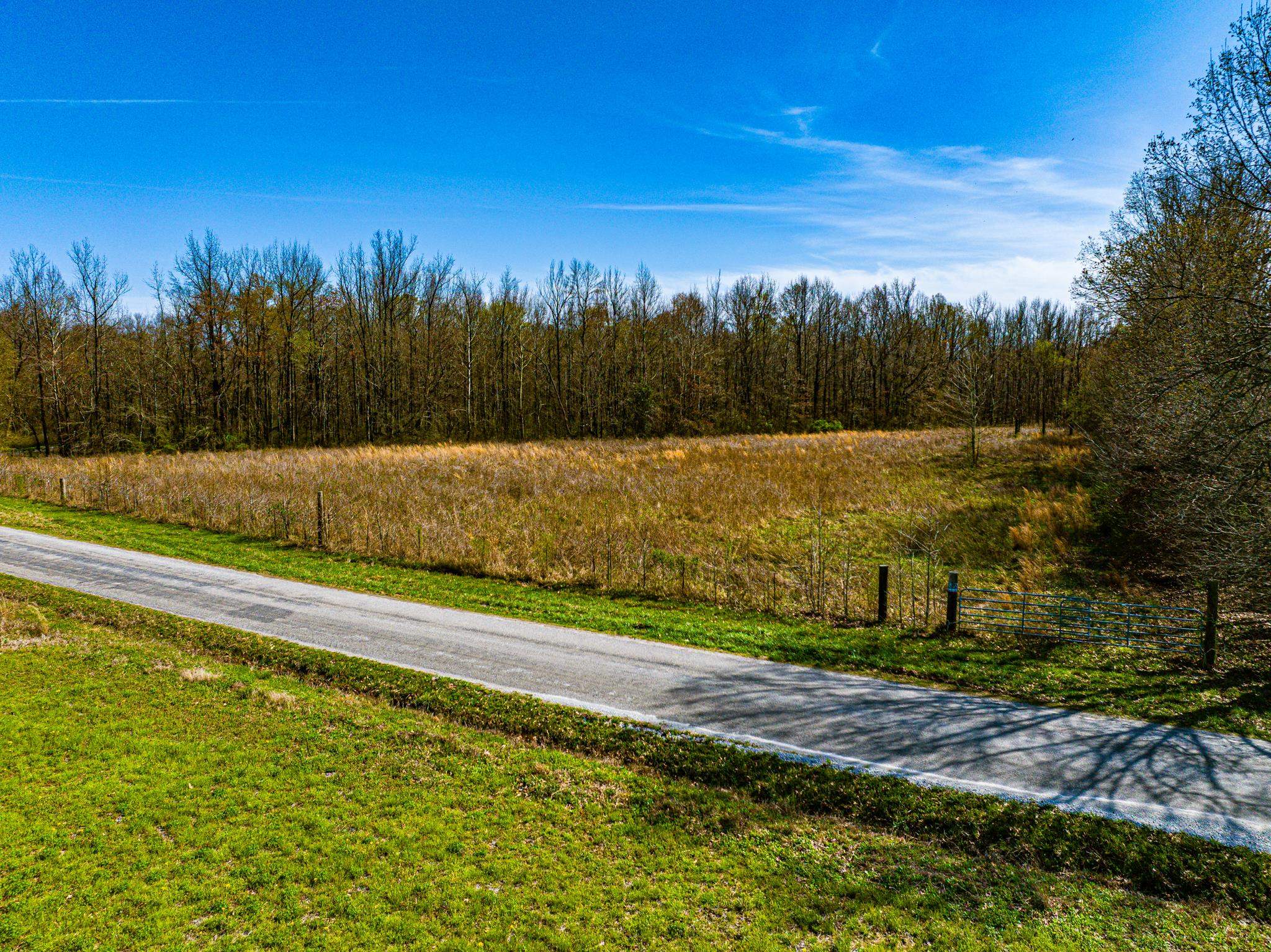 0 Hammlett Road Beech Bluff, TN 38313 - Photo 5 of 25 View of asphalt road