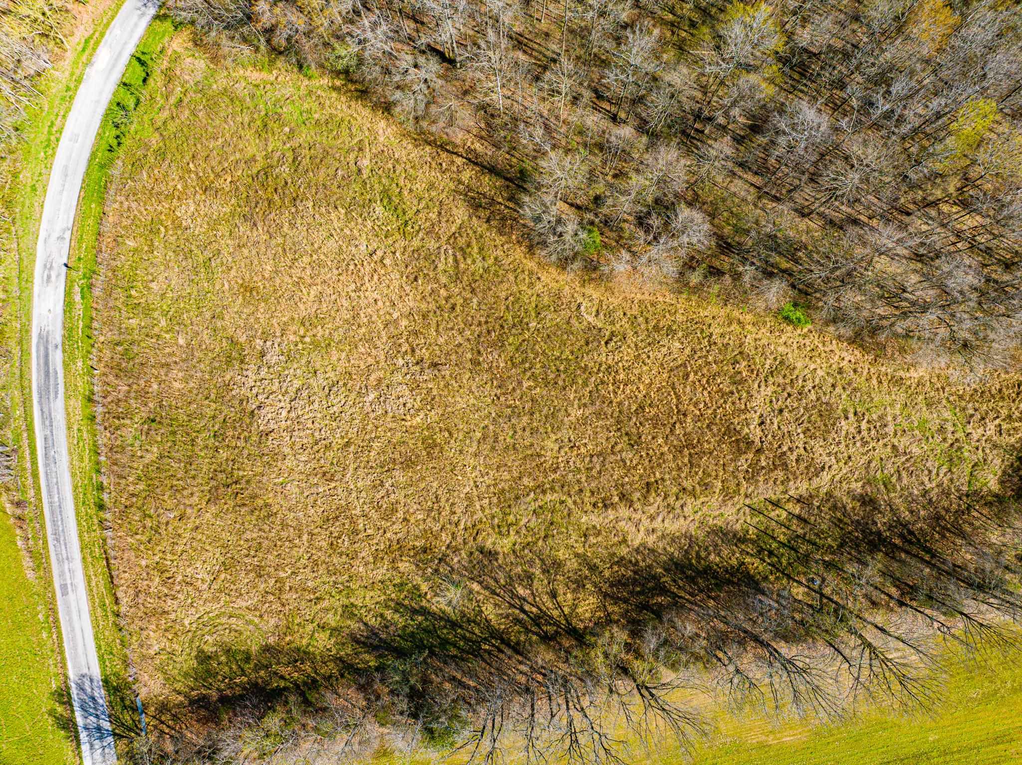 0 Hammlett Road Beech Bluff, TN 38313 - Photo 7 of 25 Aerial view