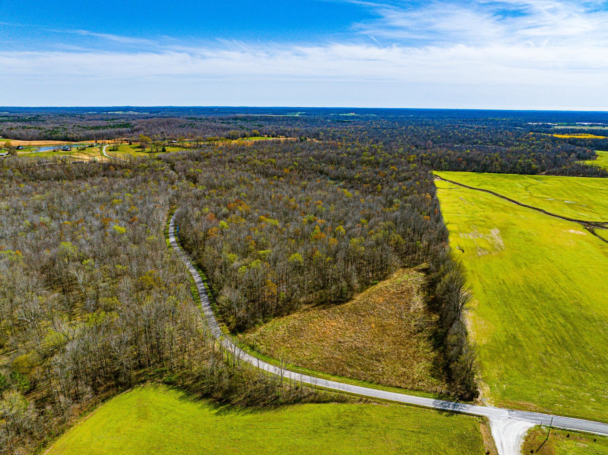 0 Hammlett Road Beech Bluff, TN 38313 - Photo 9 of 25 Drone / aerial view of a forest