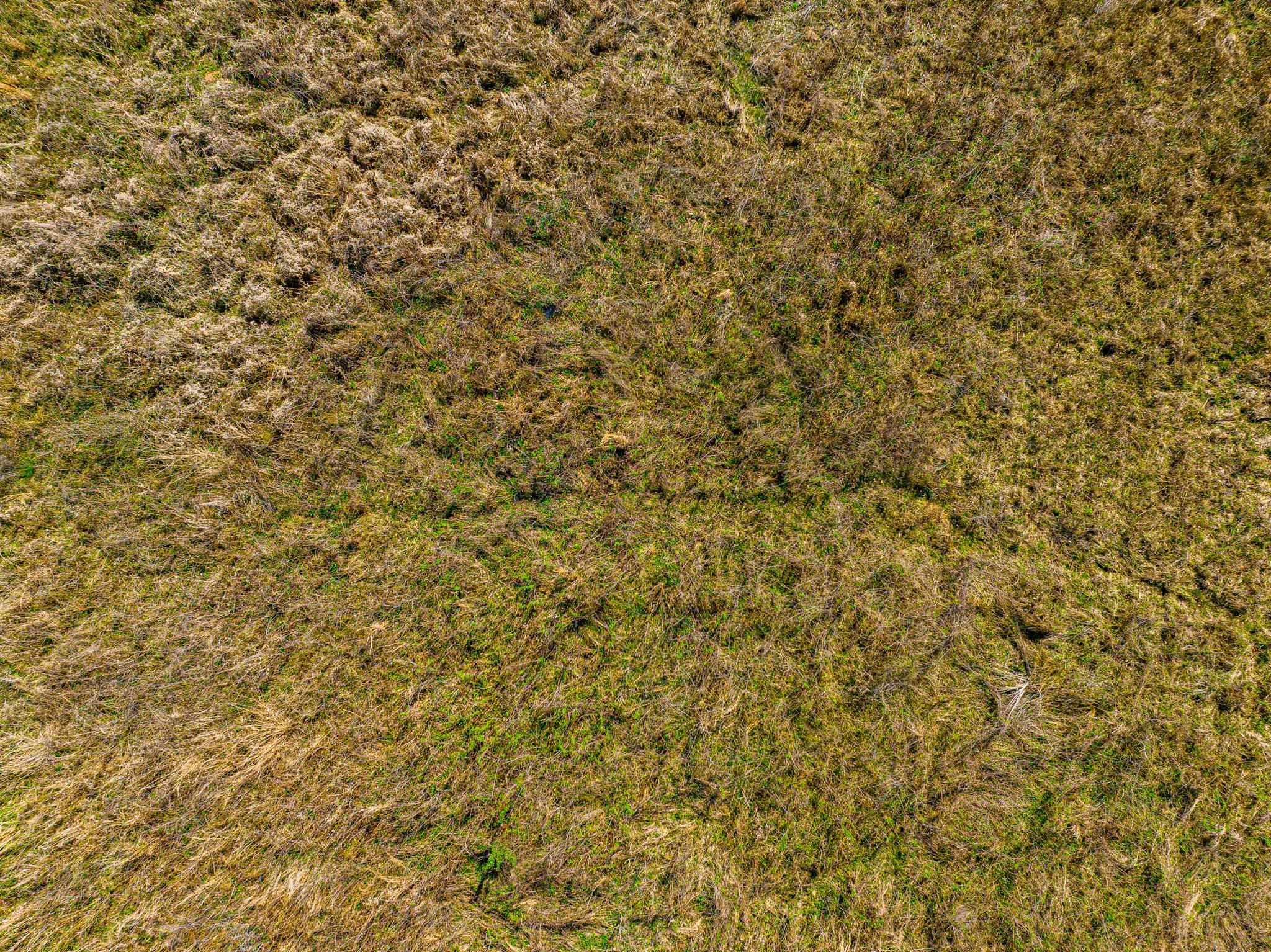 0 Hammlett Road Beech Bluff, TN 38313 - Photo 10 of 25 Exterior view