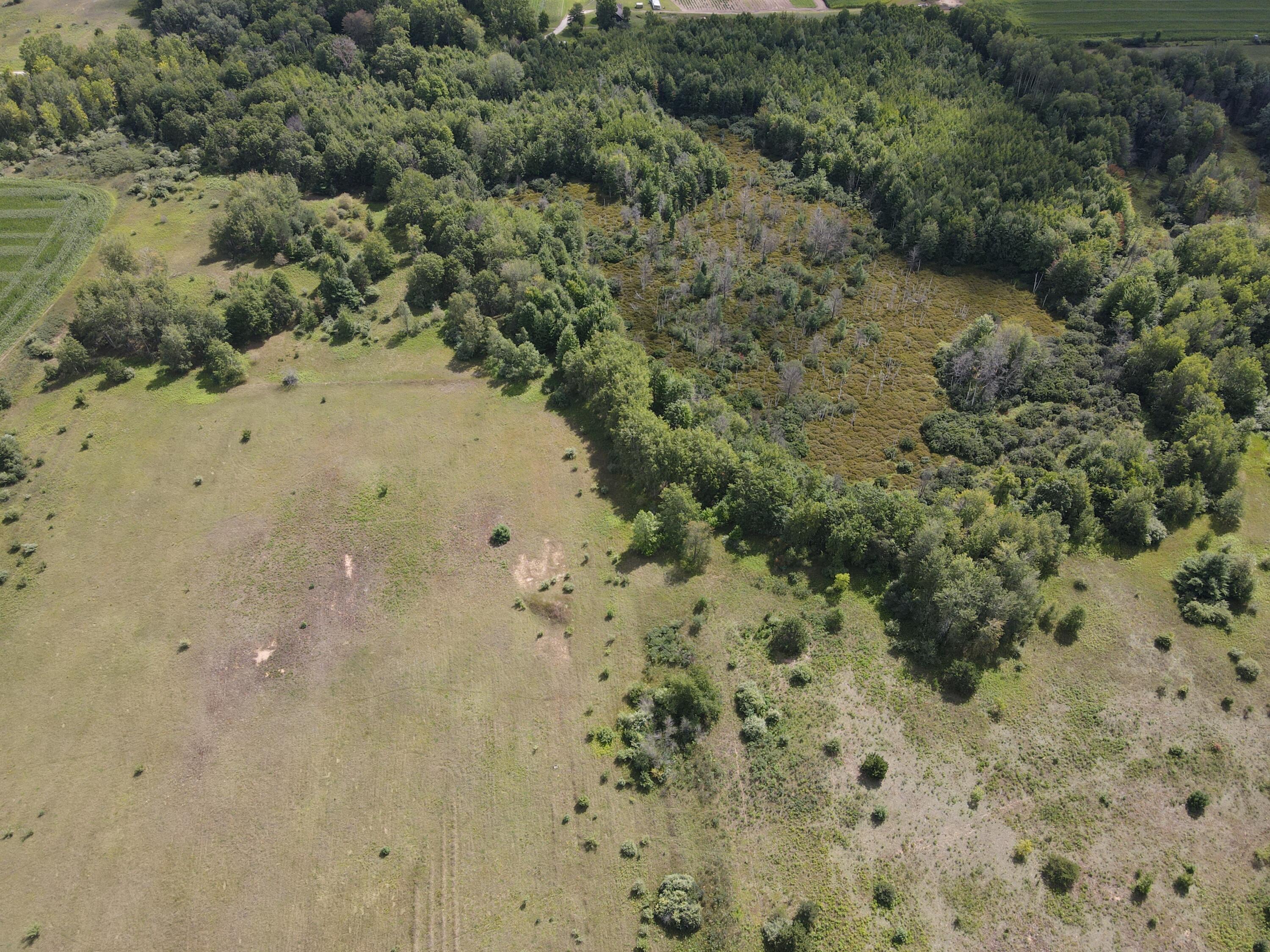 3669 Hottis Road Whittemore, MI 48770 - Photo 20 of 38 DJI_0859