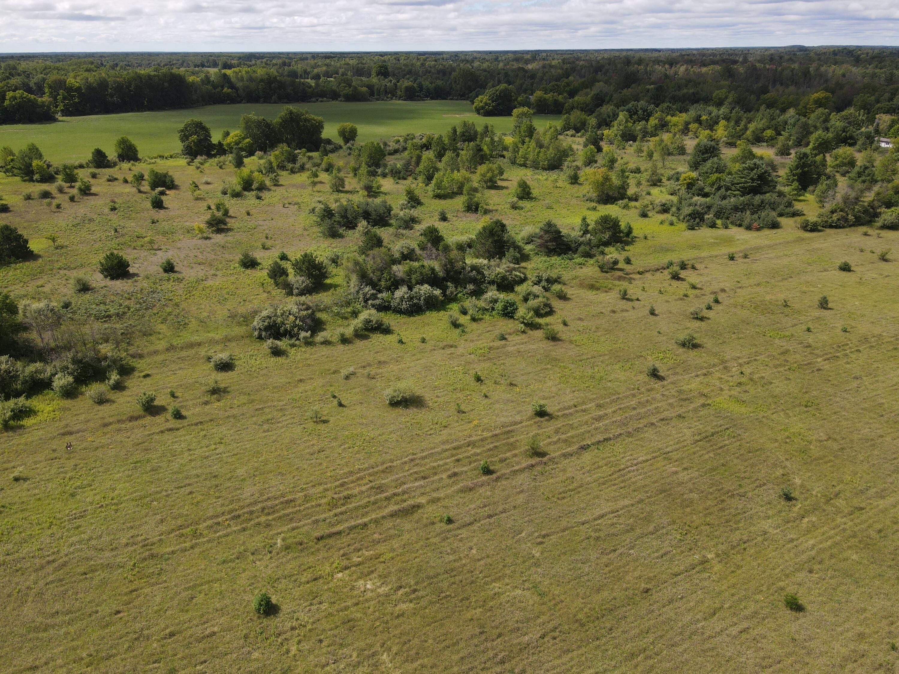 3669 Hottis Road Whittemore, MI 48770 - Photo 21 of 38 DJI_0863