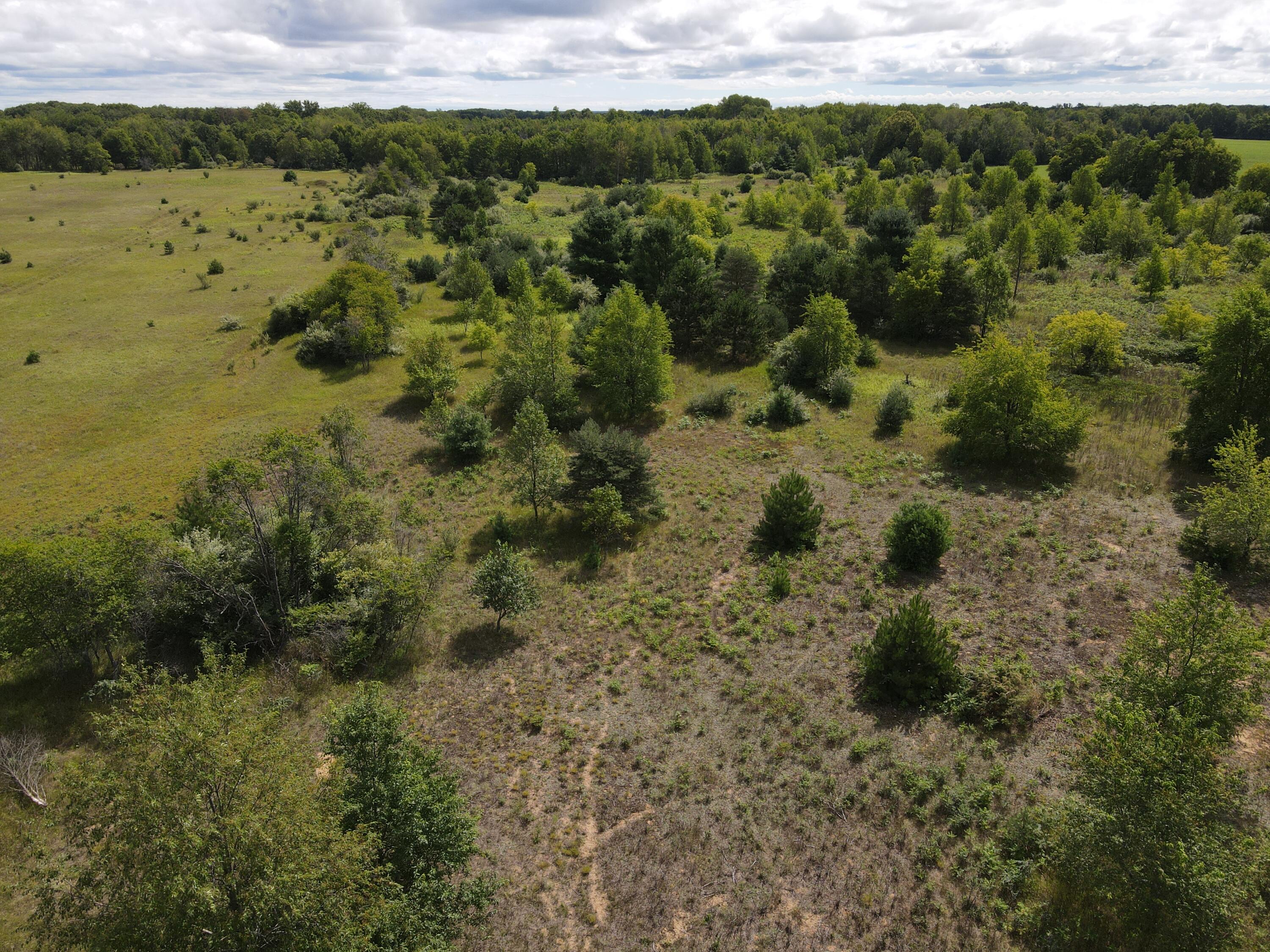 3669 Hottis Road Whittemore, MI 48770 - Photo 23 of 38 DJI_0867