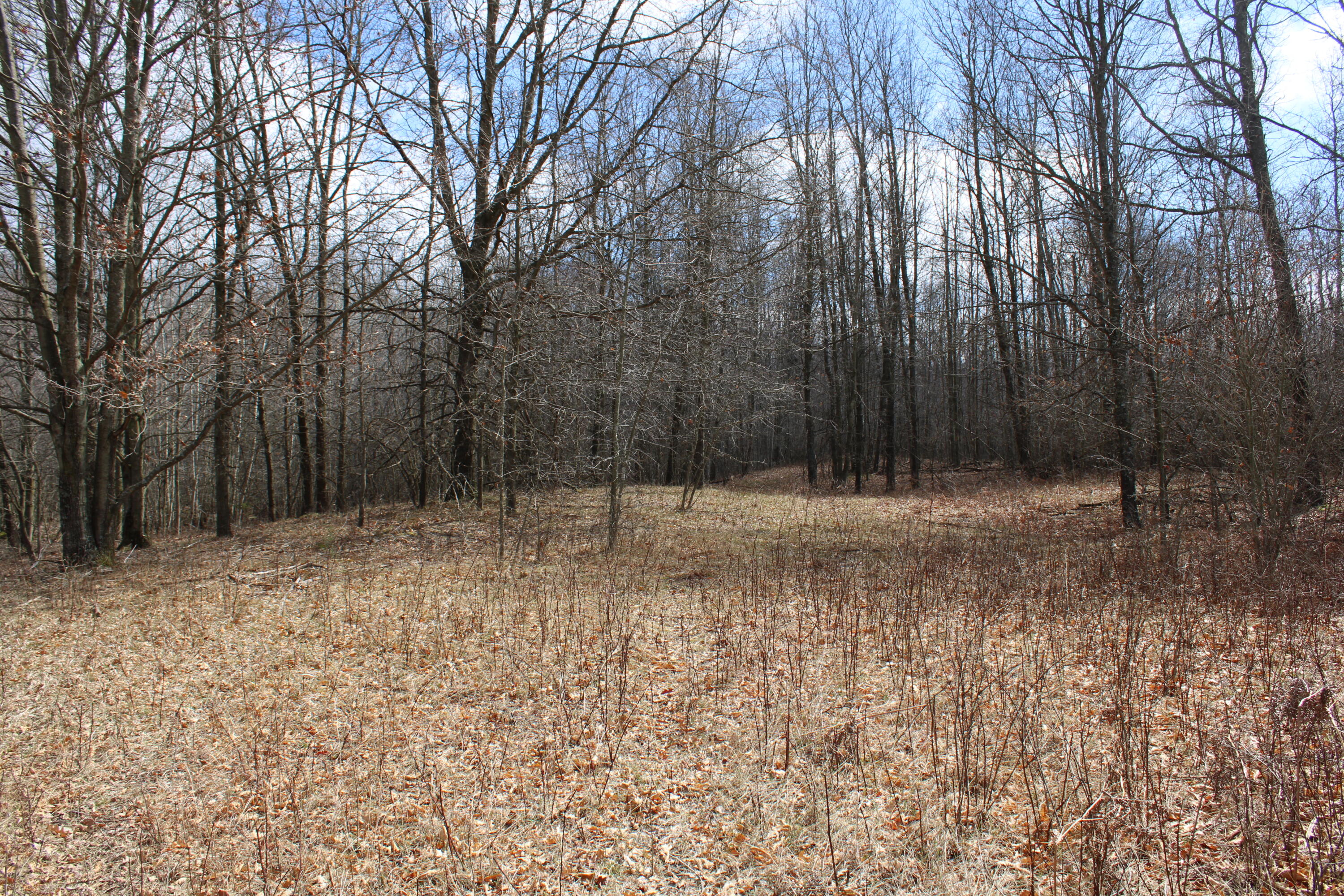3669 Hottis Road Whittemore, MI 48770 - Photo 34 of 38 IMG_1283
