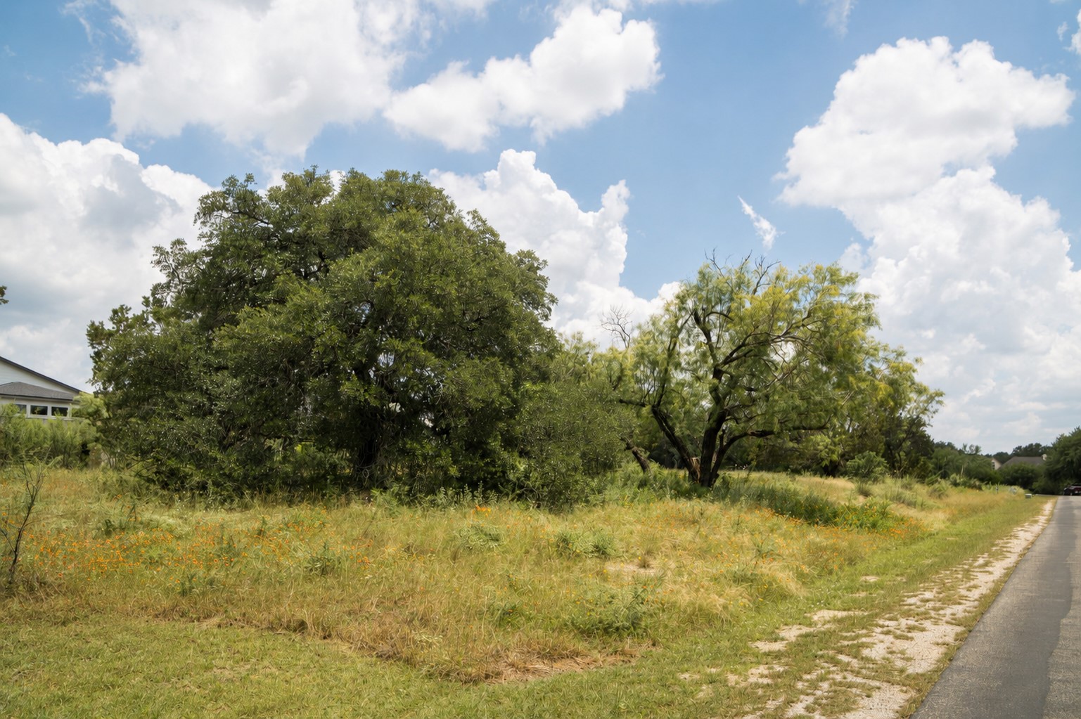 828 Wesley Ridge Drive Spicewood, TX 78669 - Photo 18 of 19