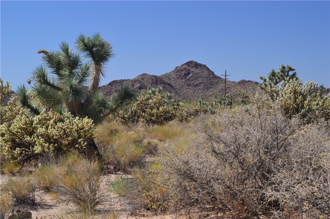 11300 Dennis Road Yucca, AZ 86438 - Photo 2 of 3