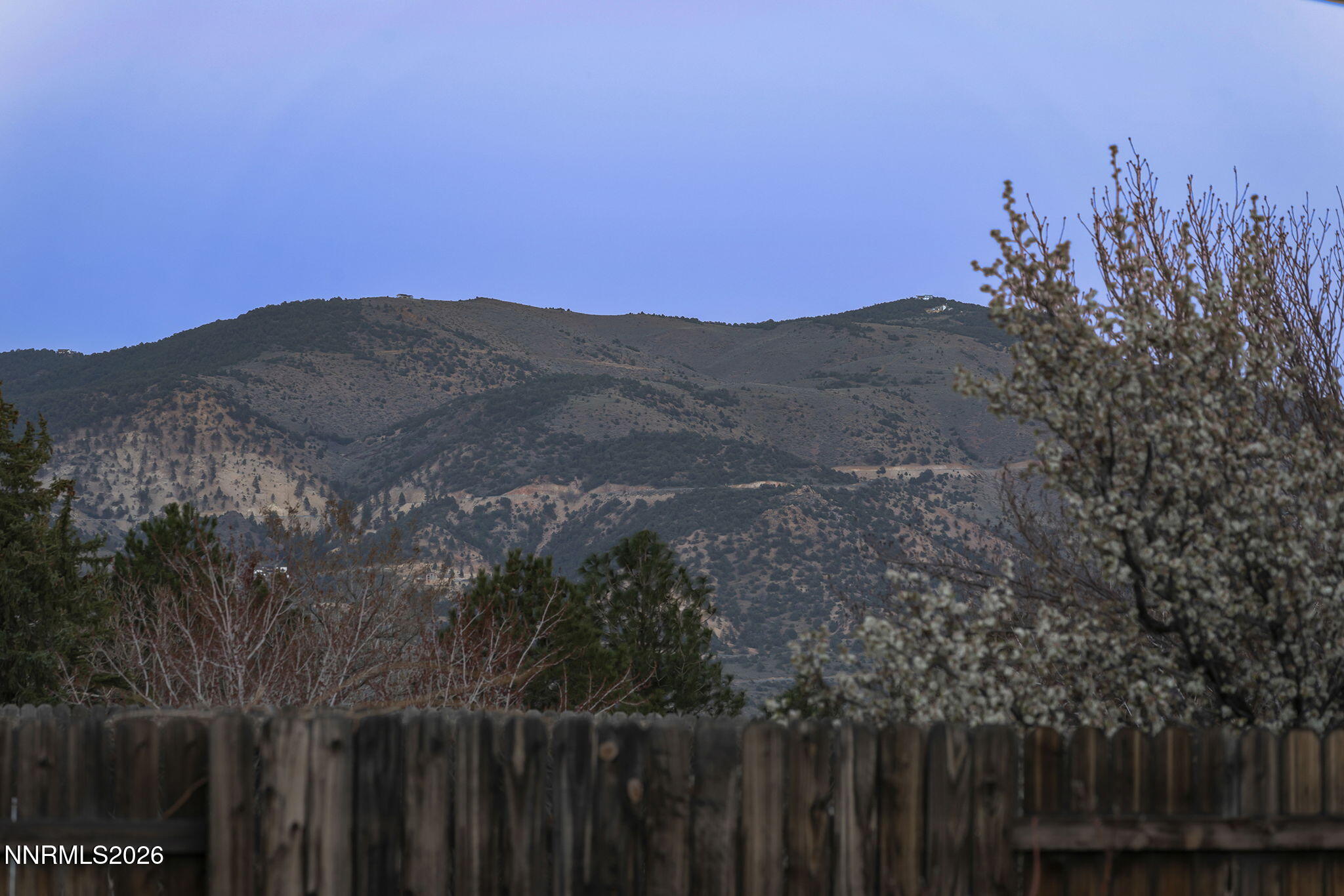 409 Solitude Court Reno, NV 89511 - Photo 51 of 72 53-web-or-mls-_DSC0628