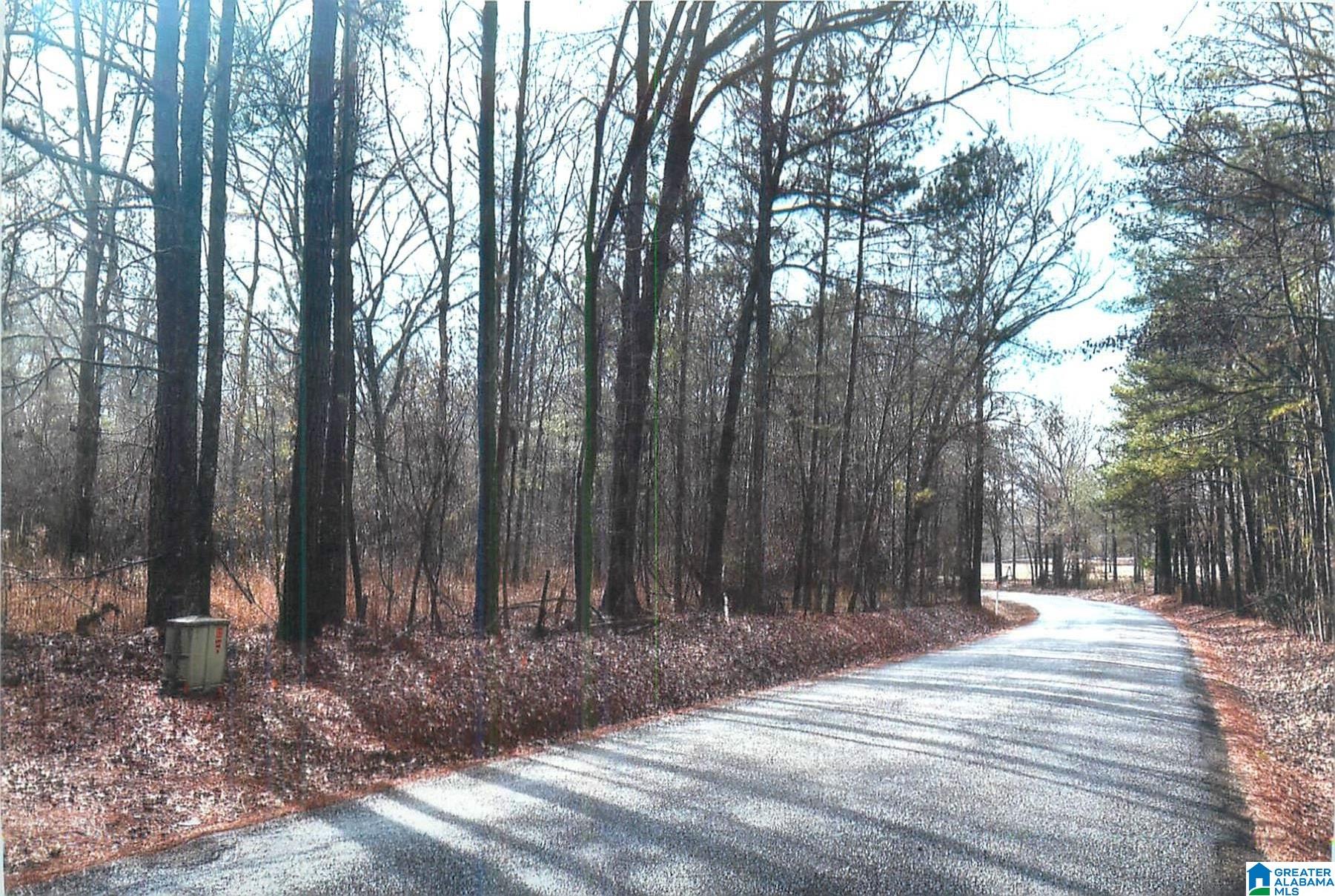 0 Walkers Crossing Road Pell City, AL 35128 - Photo 5 of 6