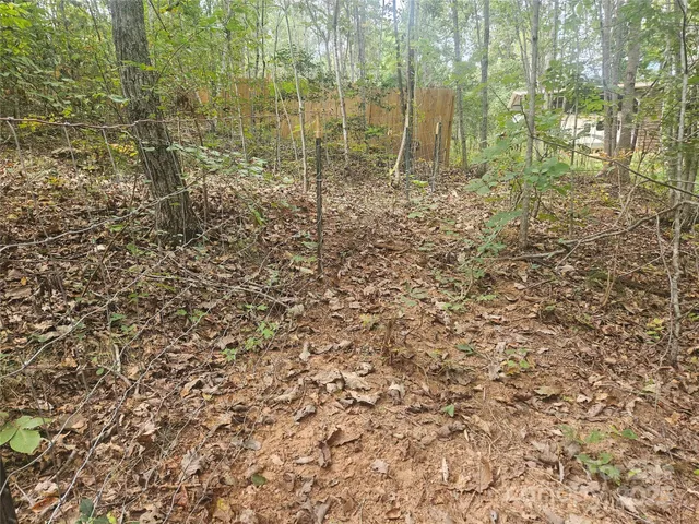 a view of a pathway both side of shower