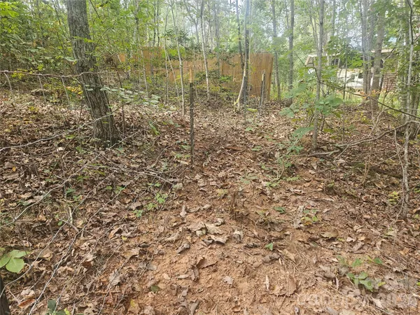 a view of a pathway both side of shower