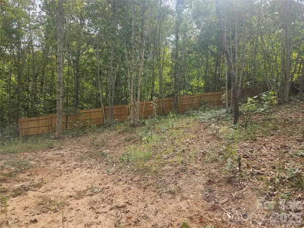 a view of a forest with trees in the background