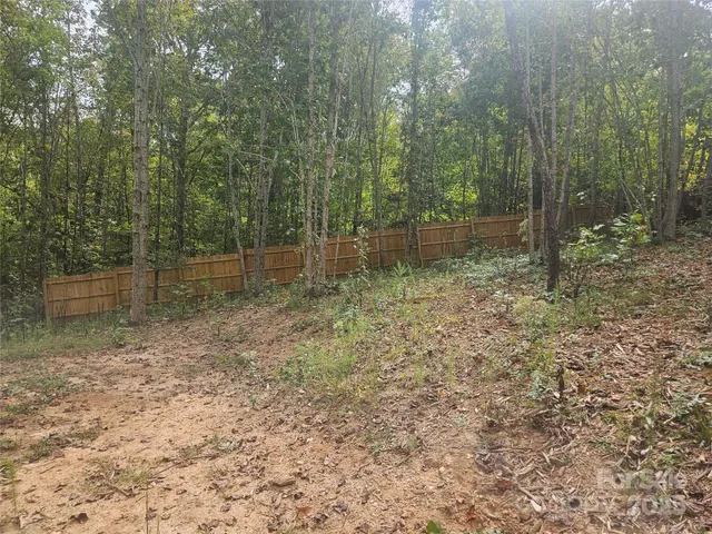 a view of a forest with trees in the background