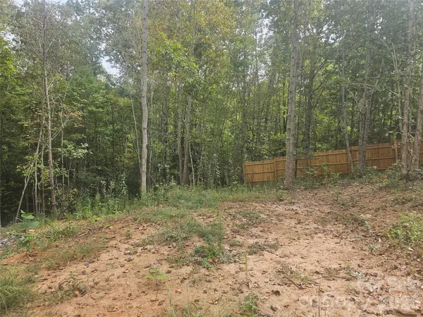 a view of a backyard with table and chairs potted plants and large tree
