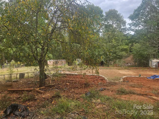 a view of a yard with large trees