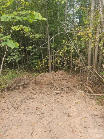 a view of a yard with plants and brick wall