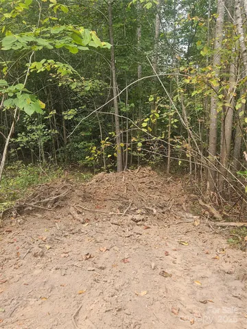 a view of a yard with plants and brick wall