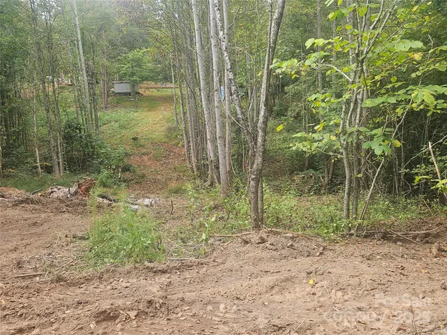a view of a yard with an outdoor space