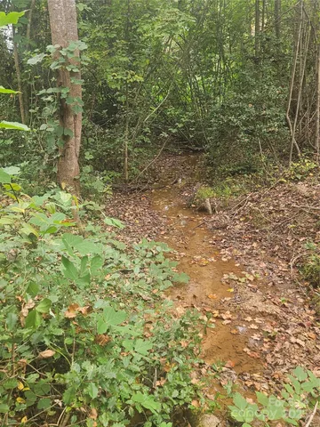 $74,000 | 158 Dusty Hollow, Bostic, NC 28018