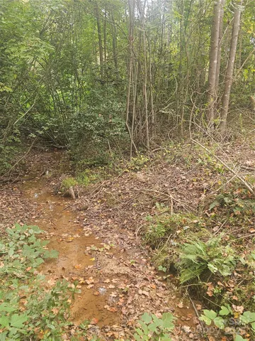 a view of a bathroom with shower and a yard