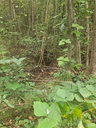 $74,000 | 158 Dusty Hollow, Bostic, NC 28018