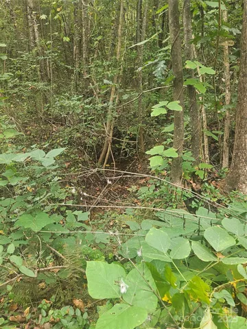 $74,000 | 158 Dusty Hollow, Bostic, NC 28018