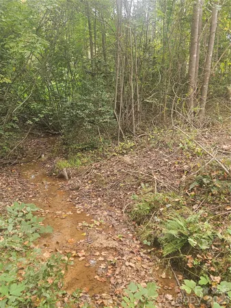 a view of a bathroom with shower and a yard