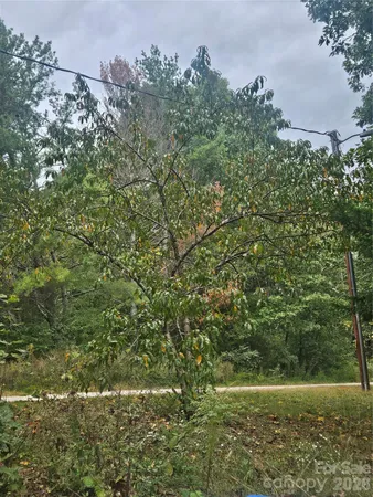 a view of outdoor space and a yard