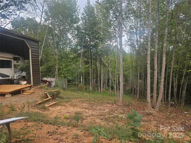 a view of backyard with trees