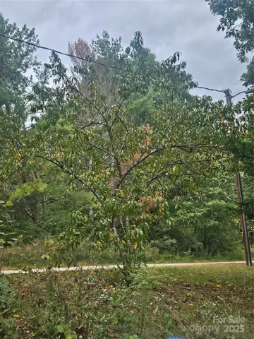 a view of outdoor space and a yard