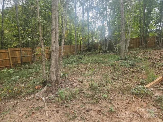 a view of a forest with trees in the background