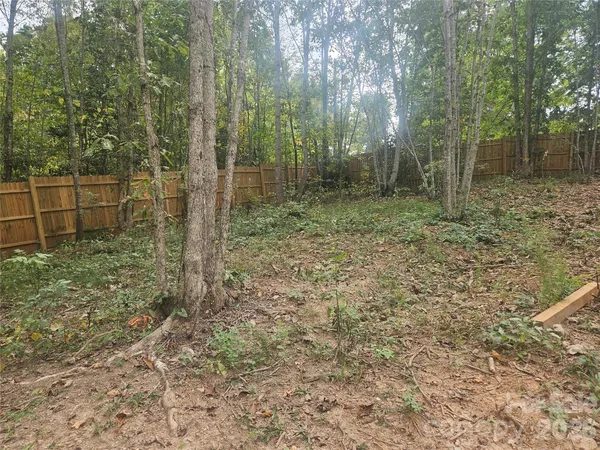 a view of a forest with trees in the background