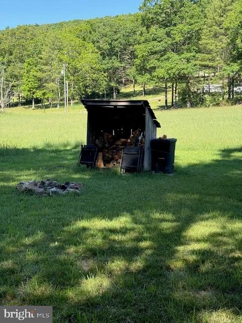 184 Skiles- Pitsenbarger Road Franklin, WV 26807 - Photo 32 of 39 Rustic wood shed in serene meadow.