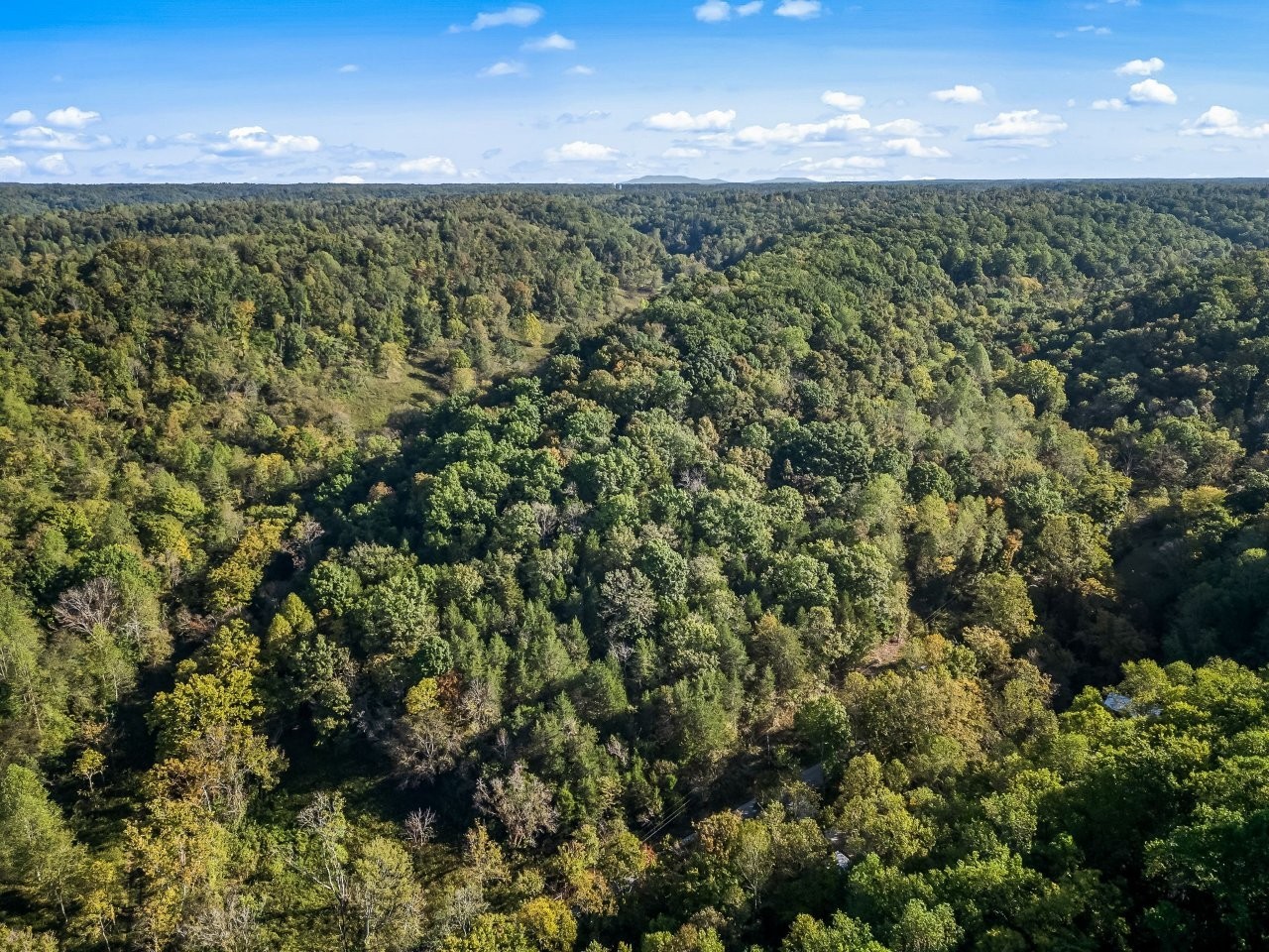 1979 Norton Branch Road Beechgrove, TN 37018 - Photo 8 of 20