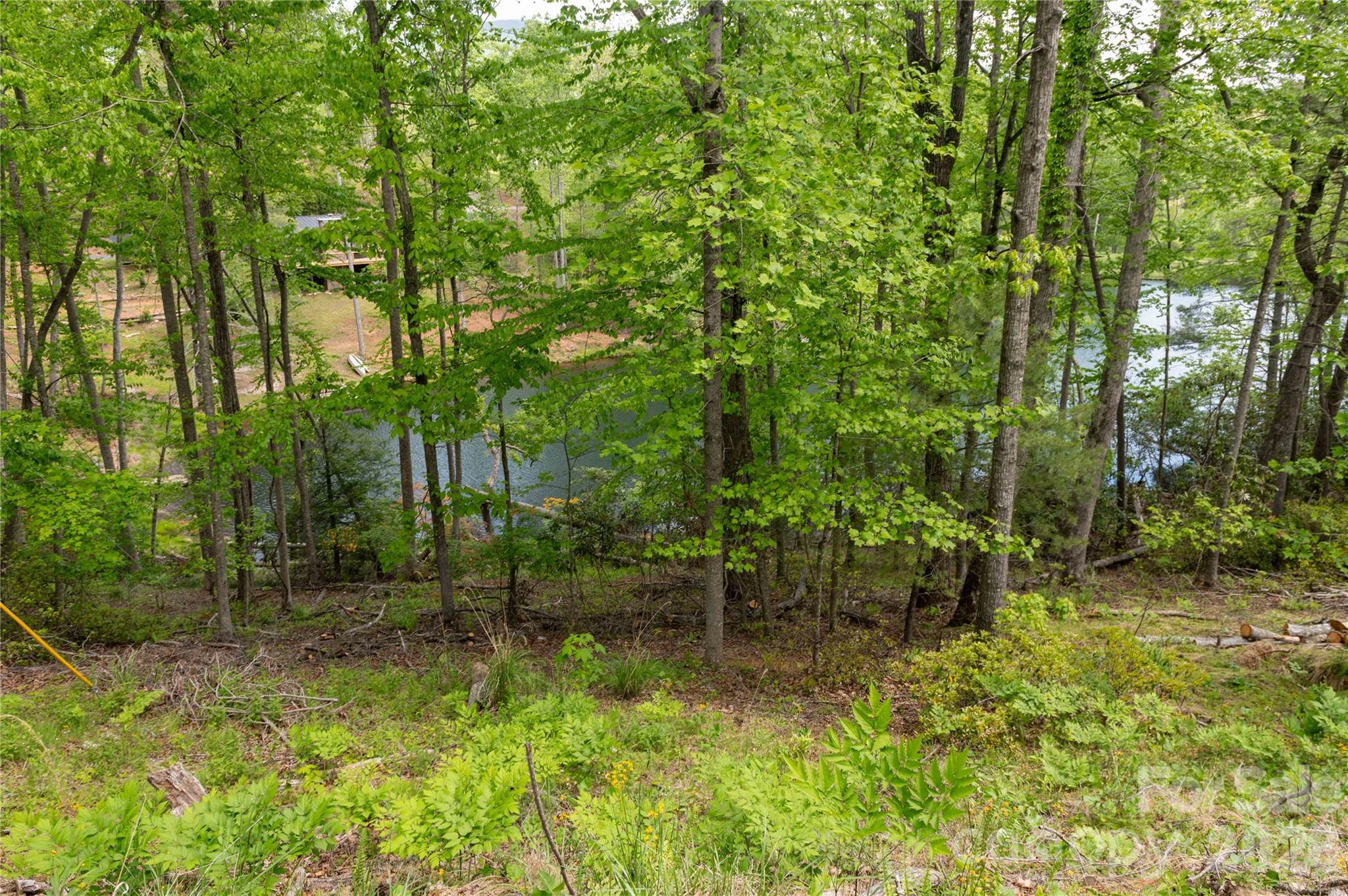 0 Deer Park Lake Road Spruce Pine, NC 28777 - Photo 10 of 24 a view of backyard with green space