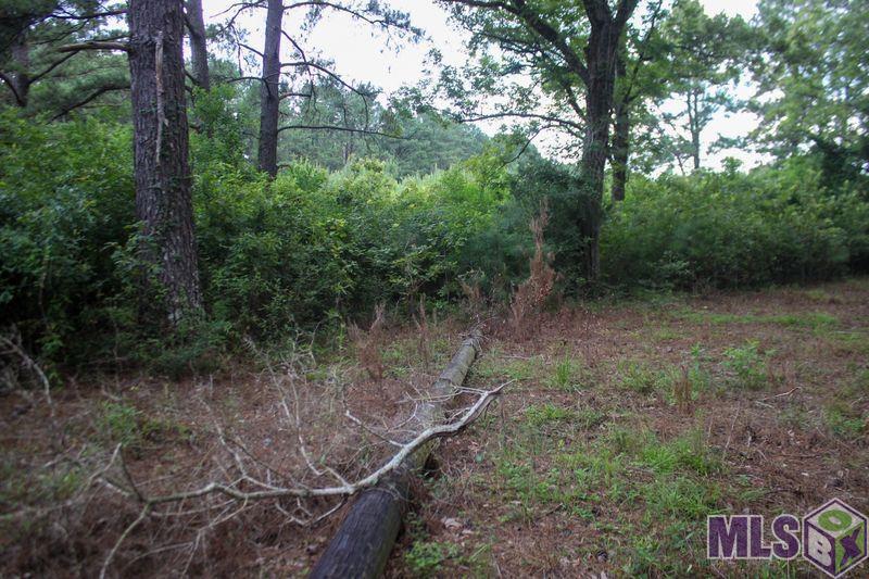 Tbd Turner Road Ethel, LA 70730 - Photo 2 of 6