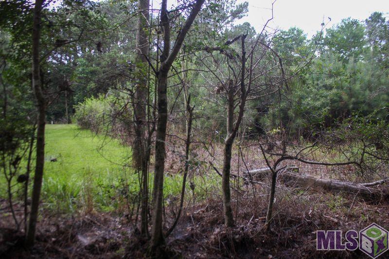 Tbd Turner Road Ethel, LA 70730 - Photo 6 of 6
