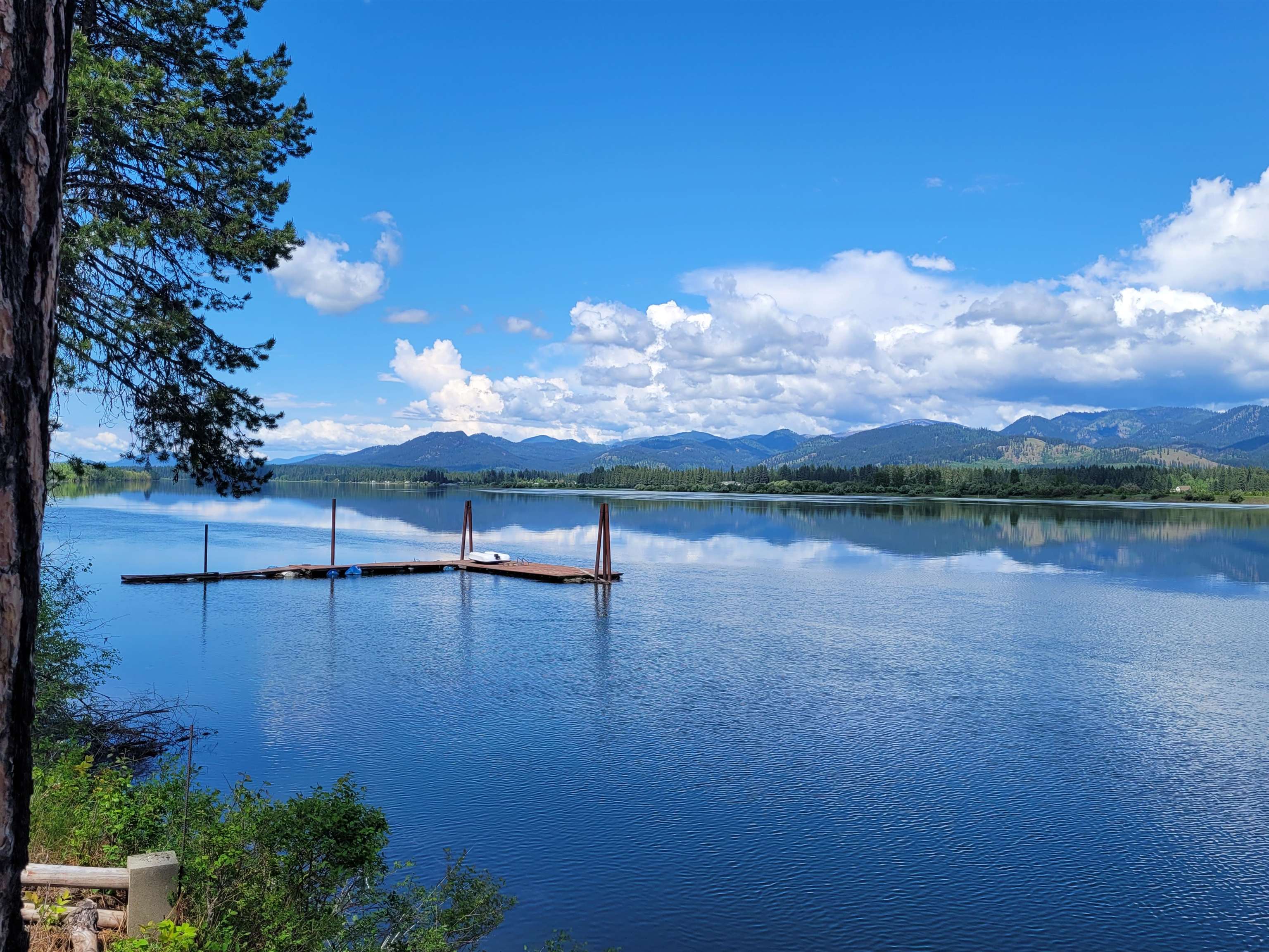 205 Eagle Way Usk, WA 99180 - Photo 3 of 47