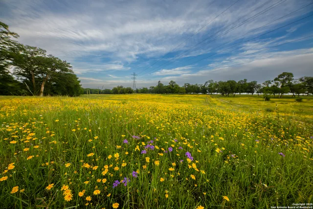 $379,950 | 0 Comfort Fields, Comfort, TX 78013