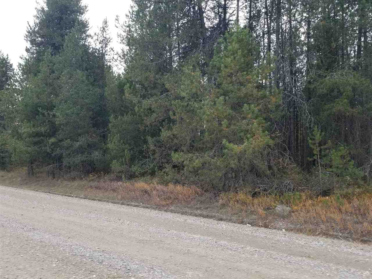 40323 North Madison Road Elk, WA 99009 - Photo 2 of 5