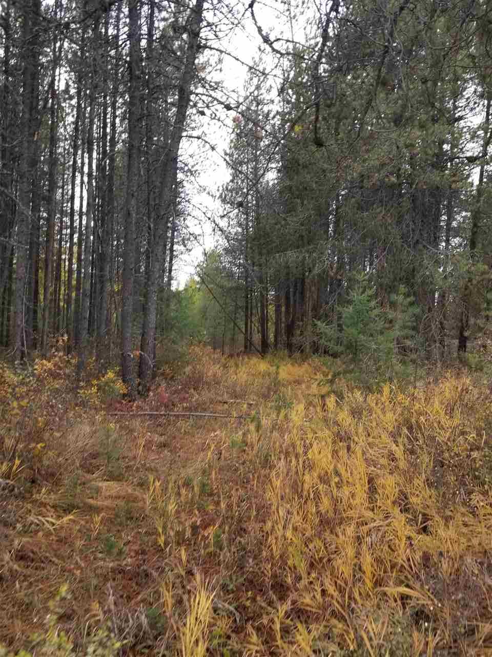40323 North Madison Road Elk, WA 99009 - Photo 3 of 5
