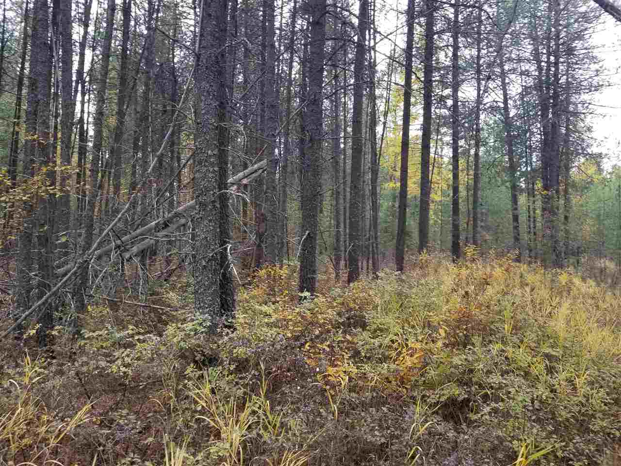 40323 North Madison Road Elk, WA 99009 - Photo 4 of 5